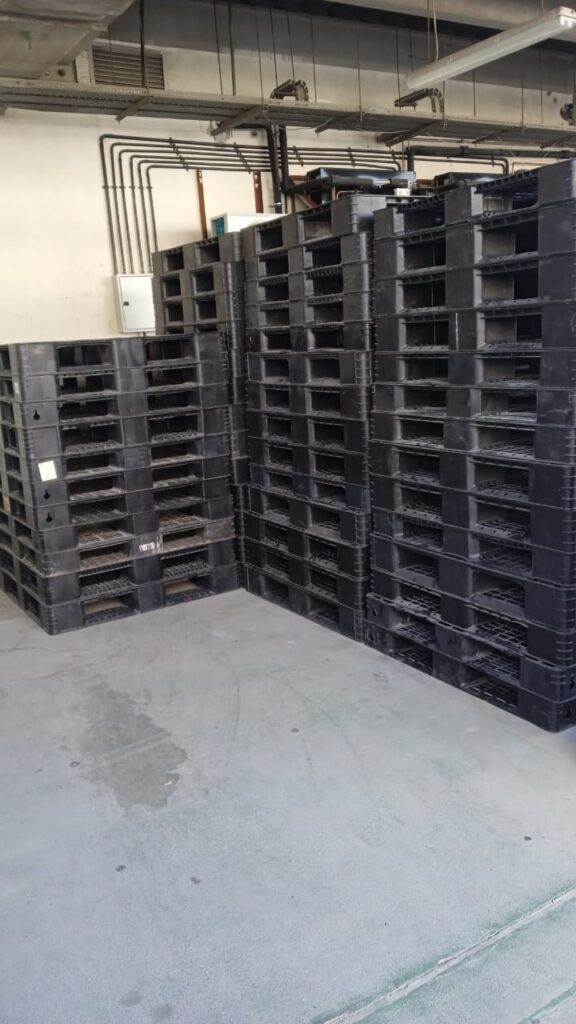 plastic-pallets-0542972176-Dubai-11