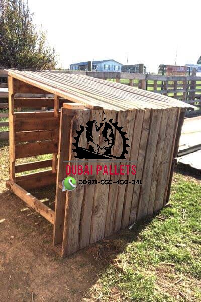 wooden-pallets-0555450341-Dubai-38